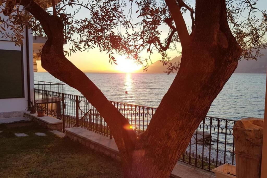 Villa Francesca-Grande Appartamento In Riva Al Lago Brenzone sul Garda Ngoại thất bức ảnh
