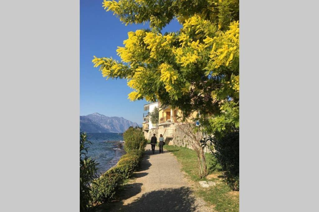 Villa Francesca-Grande Appartamento In Riva Al Lago Brenzone sul Garda Ngoại thất bức ảnh